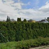 KOMÁREK STANISLAV MUDr.