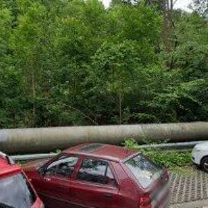 obrazek: avatar EDICOM s.r.o.