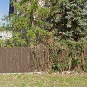 obrazek: avatar MEDEXART