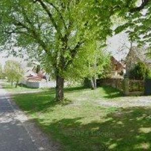 obrazek: avatar GROHOVÁ HANA