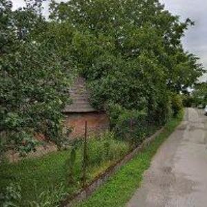 obrazek: avatar KNOTAX