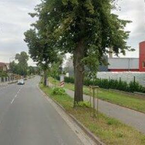 obrazek: avatar KLUB KAKTUSÁŘŮ Dvůr Králové nad Labem