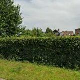 L.T.C.KOSTELEC NAD ORLICÍ