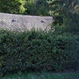 DOMOV-PRO NÁŠ RUDNÍK