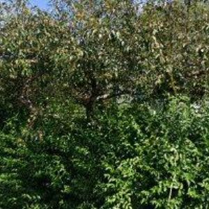 obrazek: avatar MADAJ MAREK Mgr. Ph.D.