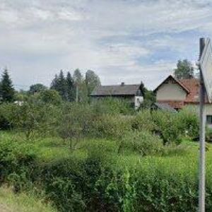 obrazek: avatar PASTUCHOVÁ MARTINA