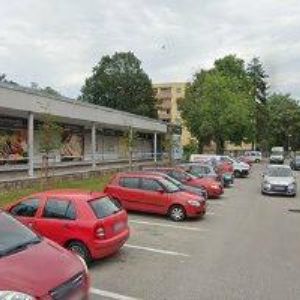 obrazek: avatar PECHLÁTOVÁ JANA