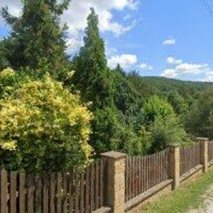 obrazek: avatar ČESKÝ SVAZ VČELAŘŮ, OKRESNÍ ORGANIZACE Jičín