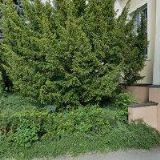 GYMNÁZIUM F.M.PELCLA