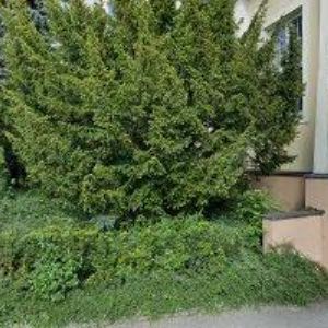 obrazek: avatar GYMNÁZIUM F.M.PELCLA