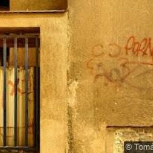 obrazek: avatar BISKUPSTVÍ KRÁLOVÉHRADECKÉ