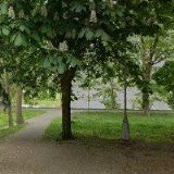 VEERONIKA KADEŘNICTVÍ