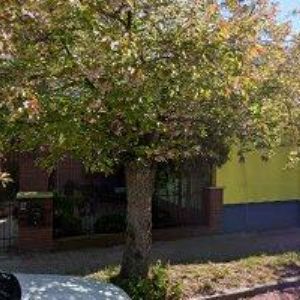 obrazek: avatar JEZDECKÝ KLUB FLAMENGO SLOUPNO