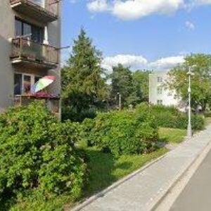 obrazek: avatar SPORTOVNĚ STŘELECKÝ KLUB DOUDLEBY NAD ORLICÍ