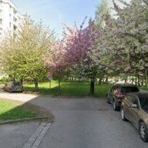 obrazek: avatar LANK IVAN