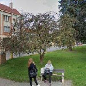 obrazek: avatar VACEK LUKÁŠ