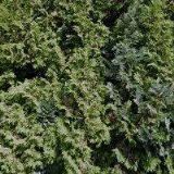 EKO-AGRO-MONT s.r.o.