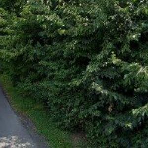 obrazek: avatar OBCHŮDEK U PERUNKY