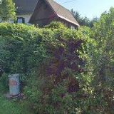 PŘÍVRATSKÝ TOMÁŠ