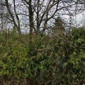 obrazek: avatar KETTNER JOSEF