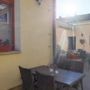 obrazek: avatar AK-LUPÍNKOVÁ DAGMAR Mgr.