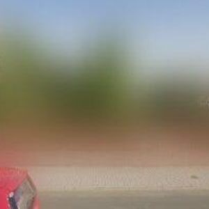 obrazek: avatar PLEVA A SYN-OBNOVA A ÚDRŽBA ZELENĚ