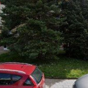 obrazek: avatar MICHELOVÁ JANA