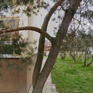 obrazek: avatar DIVADLO HAD , o.s.