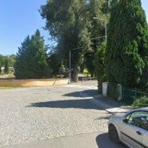 obrazek: avatar SERPENTARIUM.CZ