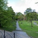 HRDLIČKA ALEŠ-CYKLOARENA.CZ