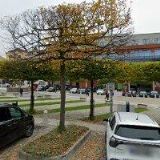 PREMIERE CINEMAS TEPLICE