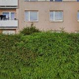 PŮJČOVNA LEŠENÍ, NÁŘADÍ A STAVEBNÍ MECHANIZACE-MILOŠ KUNA