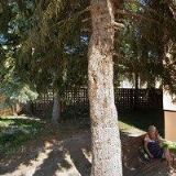 ŠAFAŘÍK VLASTIMIL-KROK-SUN K-ROCK