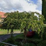 VIVASONG VÍTI VÁVRY-VRBICE U ROUDNICE NAD LABEM