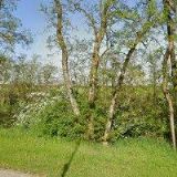 ALVARED spol. s r.o.