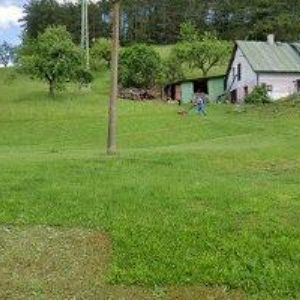 obrazek: avatar TANUS s.r.o.