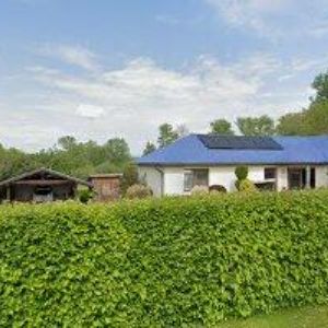 obrazek: avatar MILWOOD