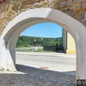 obrazek: avatar SALON DARIA