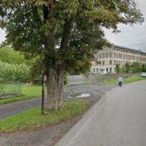 obrazek: avatar KOCOURKOVÁ MARTINA-KVĚTINÁŘSTVÍ SONIA