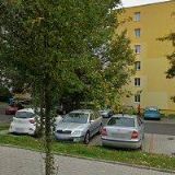 PETRIŠKOVÁ GUSTAVA