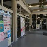 VAŠŠOVÁ JITKA-MASÁŽE