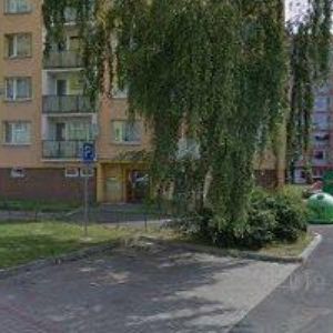 obrazek: avatar PINKIE.CZ