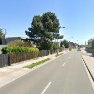 obrazek: avatar ZO ČSOP ORLICE