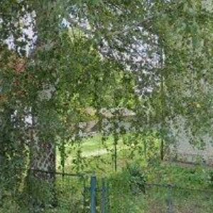 obrazek: avatar MULTIHRAČKY