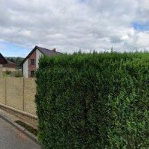 obrazek: avatar KADEŘNICTVÍ ELIS