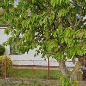 obrazek: avatar MŠ, ZŠ A PRAKTICKÁ ŠKOLA Trutnov