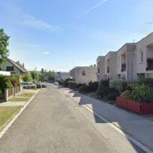 obrazek: avatar LOCO