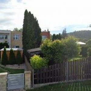 obrazek: avatar SYNEK KAREL