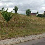 HEPOVÁ DARINA MUDr.