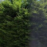 KOTLÁŘOVÁ MARTINA